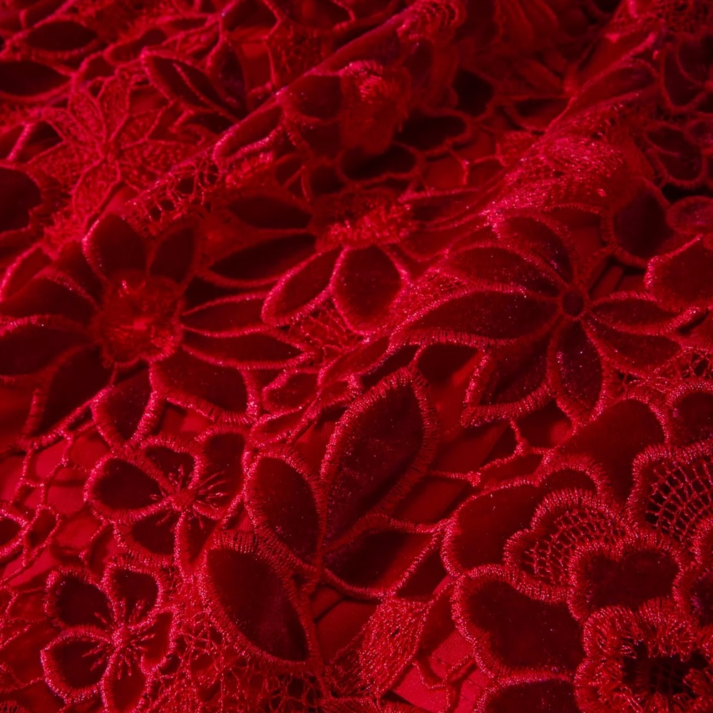 BOSTON PROPER
Mock Neck Velvet Lace Midi Dress
Excellent condition. Worn once - Picture 6 of 13